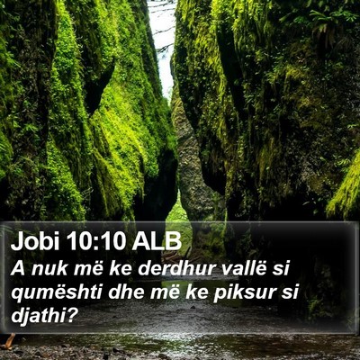 Jobi 10:10 ALB Bible Verse Image