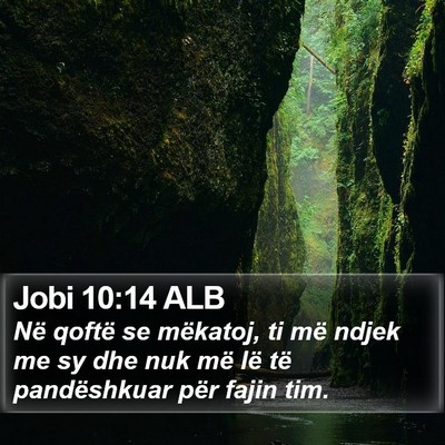 Jobi 10:14 ALB Bible Verse Image