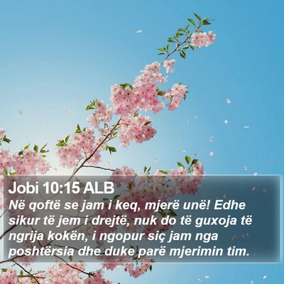 Jobi 10:15 ALB Bible Verse Image