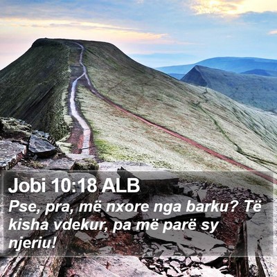 Jobi 10:18 ALB Bible Verse Image
