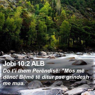 Jobi 10:2 ALB Bible Verse Image