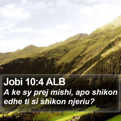 Jobi 10:4 ALB Bible Verse Image