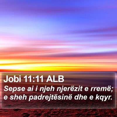 Jobi 11:11 ALB Bible Verse Image