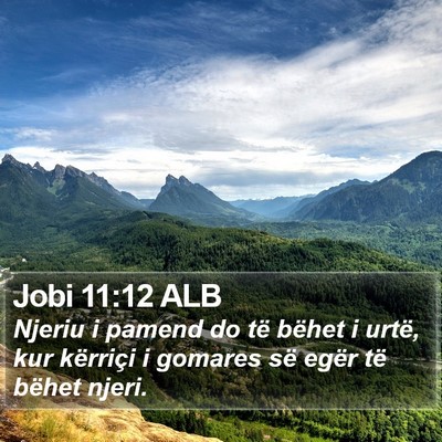 Jobi 11:12 ALB Bible Verse Image