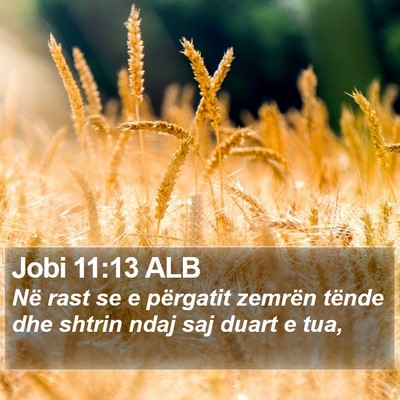 Jobi 11:13 ALB Bible Verse Image