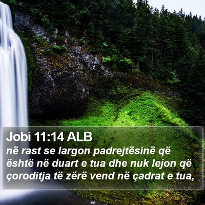 Jobi 11:14 ALB Bible Verse Image