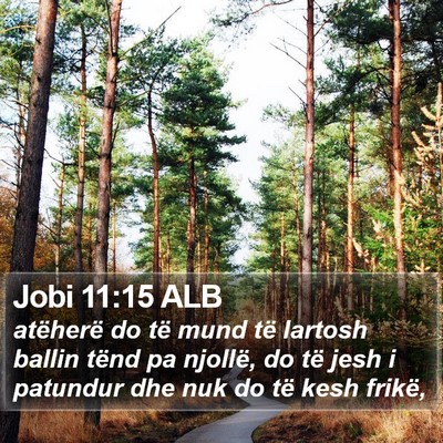 Jobi 11:15 ALB Bible Verse Image
