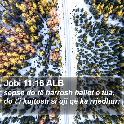 Jobi 11:16 ALB Bible Verse Image