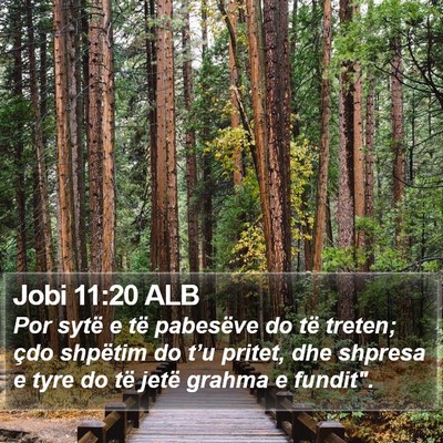 Jobi 11:20 ALB Bible Verse Image