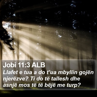 Jobi 11:3 ALB Bible Verse Image