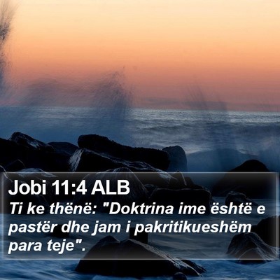 Jobi 11:4 ALB Bible Verse Image