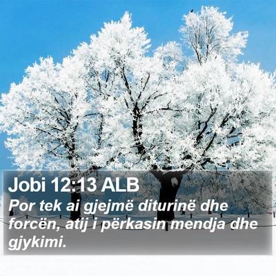 Jobi 12:13 ALB Bible Verse Image