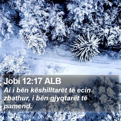 Jobi 12:17 ALB Bible Verse Image