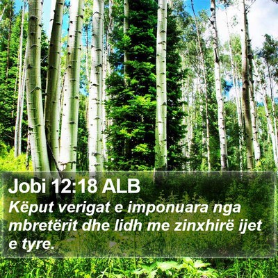 Jobi 12:18 ALB Bible Verse Image