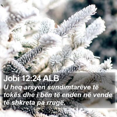 Jobi 12:24 ALB Bible Verse Image