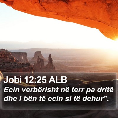 Jobi 12:25 ALB Bible Verse Image
