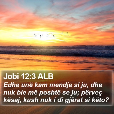 Jobi 12:3 ALB Bible Verse Image