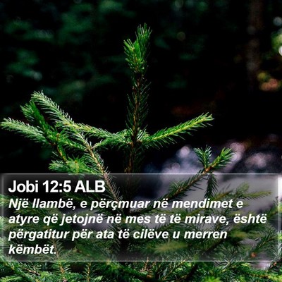 Jobi 12:5 ALB Bible Verse Image
