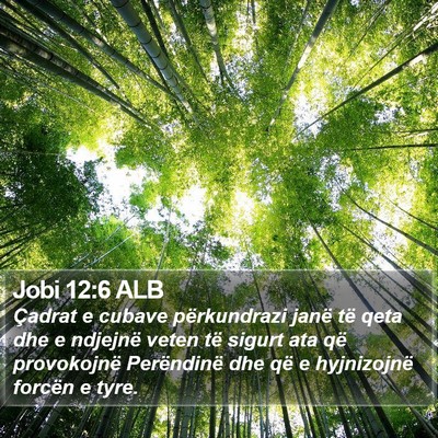 Jobi 12:6 ALB Bible Verse Image