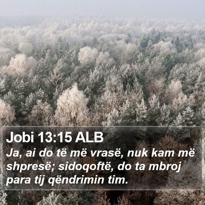 Jobi 13:15 ALB Bible Verse Image