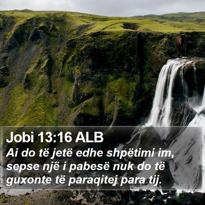 Jobi 13:16 ALB Bible Verse Image