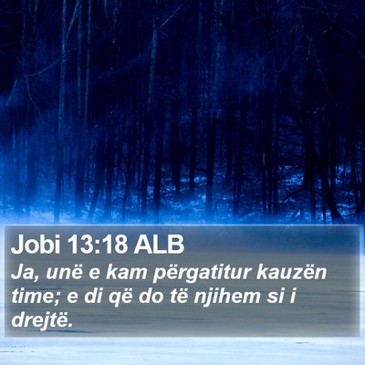 Jobi 13:18 ALB Bible Verse Image