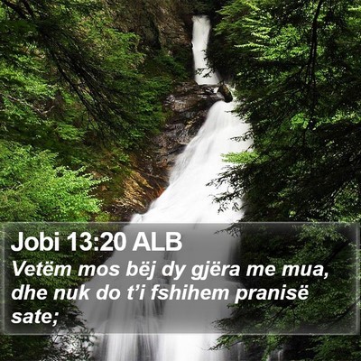Jobi 13:20 ALB Bible Verse Image