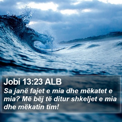 Jobi 13:23 ALB Bible Verse Image