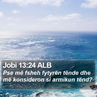 Jobi 13:24 ALB Bible Verse Image