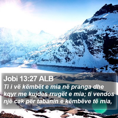 Jobi 13:27 ALB Bible Verse Image