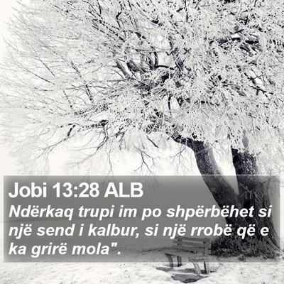 Jobi 13:28 ALB Bible Verse Image