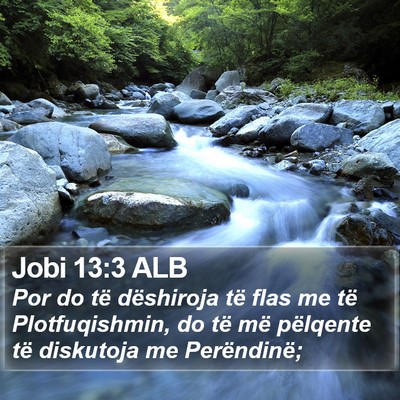 Jobi 13:3 ALB Bible Verse Image