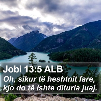 Jobi 13:5 ALB Bible Verse Image
