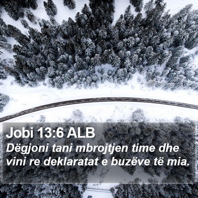 Jobi 13:6 ALB Bible Verse Image