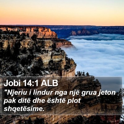 Jobi 14:1 ALB Bible Verse Image