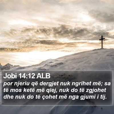 Jobi 14:12 ALB Bible Verse Image