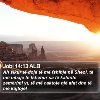 Jobi 14:13 ALB Bible Verse Image