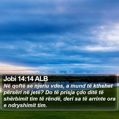 Jobi 14:14 ALB Bible Verse Image