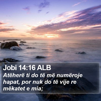 Jobi 14:16 ALB Bible Verse Image
