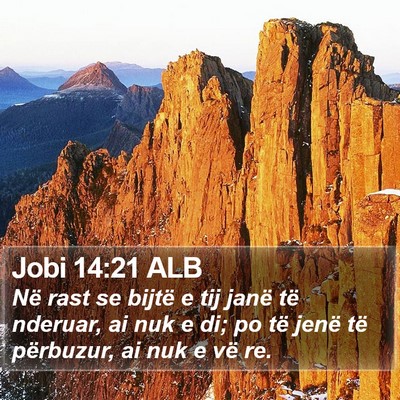 Jobi 14:21 ALB Bible Verse Image
