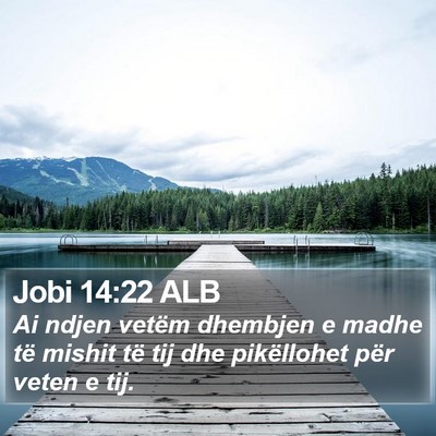 Jobi 14:22 ALB Bible Verse Image