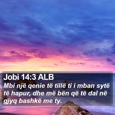 Jobi 14:3 ALB Bible Verse Image