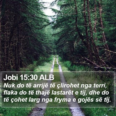 Jobi 15:30 ALB Bible Verse Image
