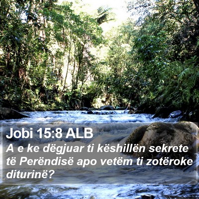 Jobi 15:8 ALB Bible Verse Image