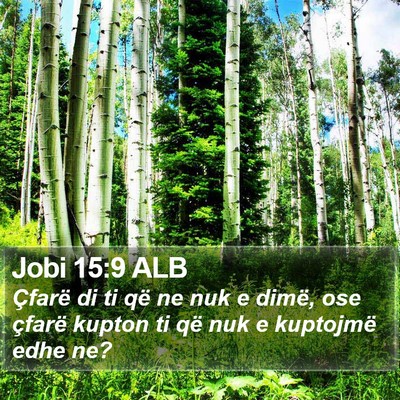 Jobi 15:9 ALB Bible Verse Image