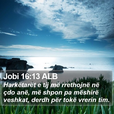 Jobi 16:13 ALB Bible Verse Image