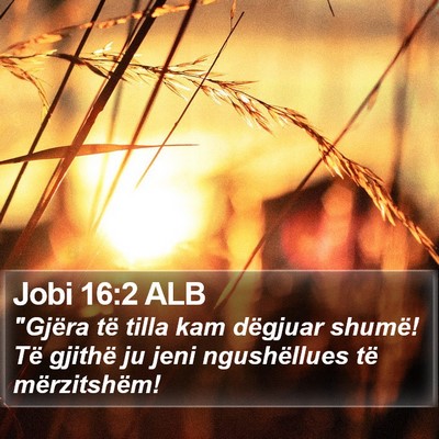 Jobi 16:2 ALB Bible Verse Image