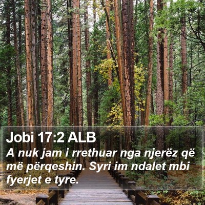 Jobi 17:2 ALB Bible Verse Image