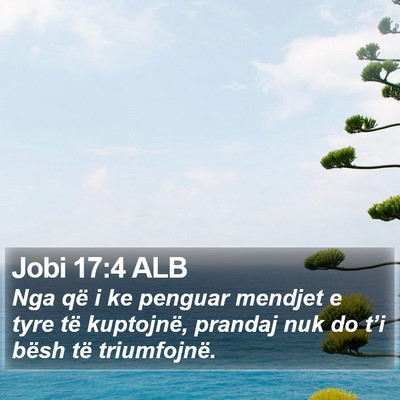 Jobi 17:4 ALB Bible Verse Image