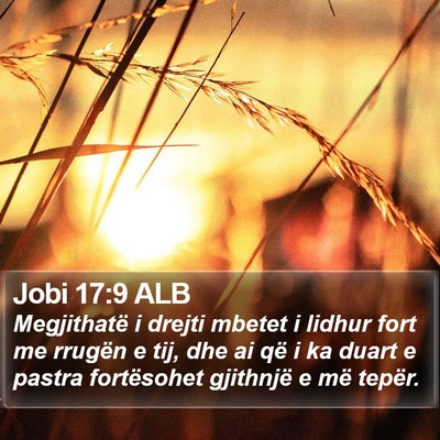 Jobi 17:9 ALB Bible Verse Image